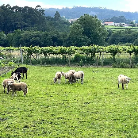 Casa Con Vinedos, A 5min De La Playa Nyaraló Sanxenxo
