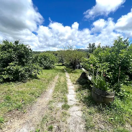 Casa Con Vinedos, A 5min De La Playa Sanxenxo