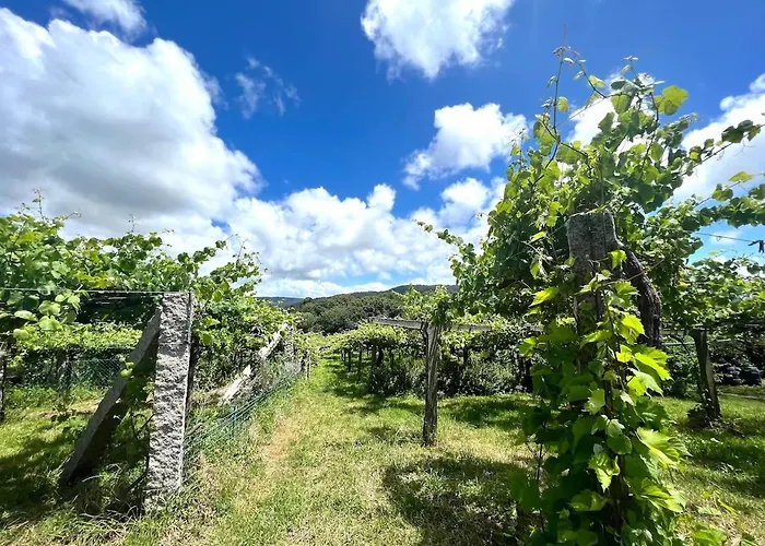 Casa Con Vinedos, A 5min De La Playa Ferienhaus