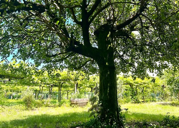 Ferienhaus Casa Con Vinedos, A 5min De La Playa *