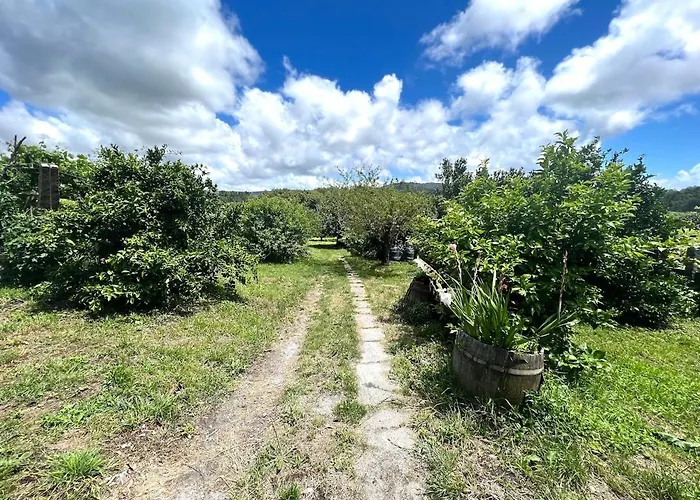 Casa Con Vinedos, A 5min De La Playa Sanxenxo