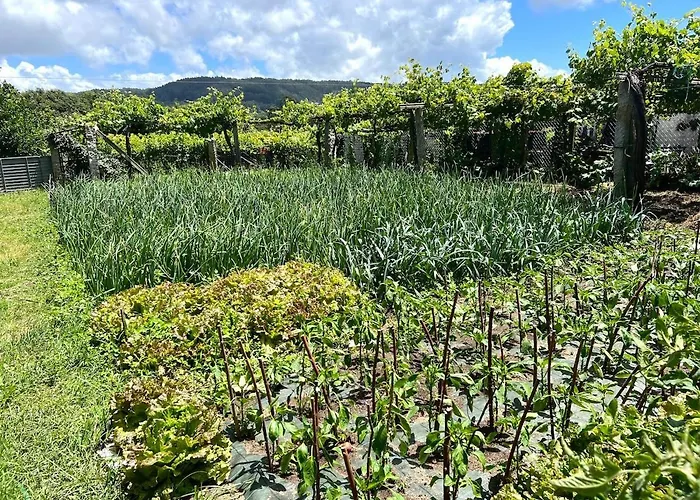 Casa Con Vinedos, A 5min De La Playa Ferienhaus *